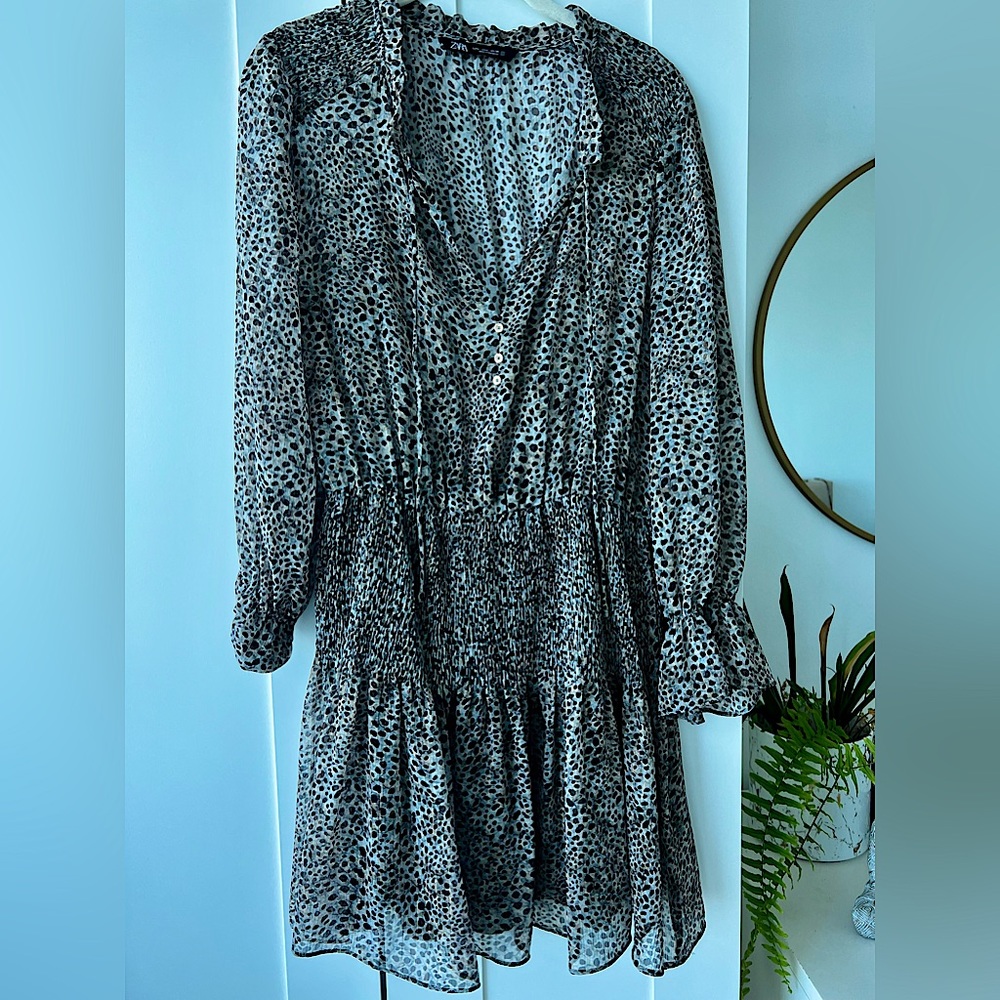 Zara Dress
